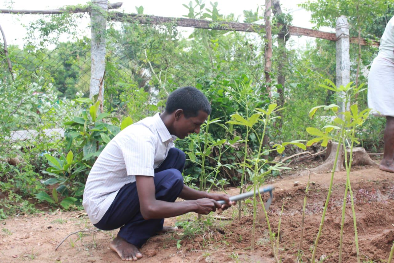Sustainable Agriculture at Synthika Trust